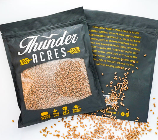 Non-GMO wheat seed for growing wheatgrass or cat grass.