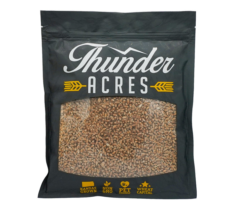 Load image into Gallery viewer, Non -GMO Wheat Seed For Wheatgrass or Catgrass
