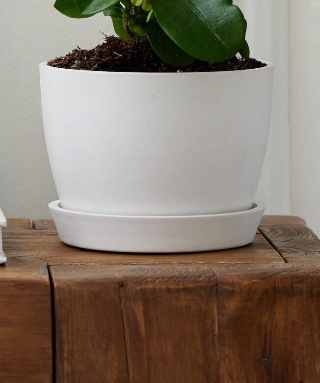 Load image into Gallery viewer, Colorful Collection
