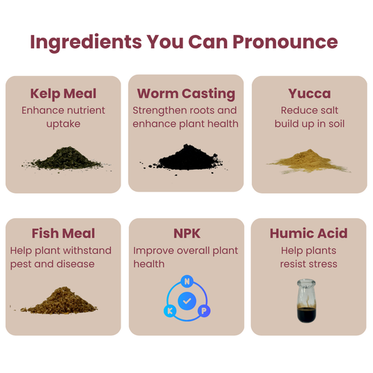 Bloom Juice Award-Winning Formula