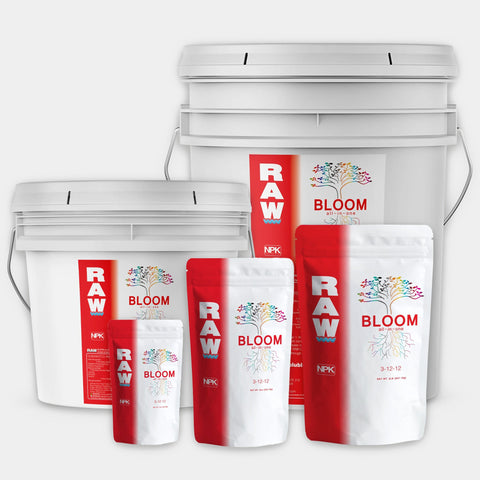 RAW Bloom all in one nutrient blend package