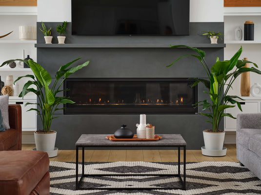 Bird of Paradise Luxe