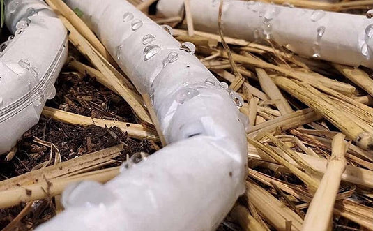 Blumat Irrigation for Pots