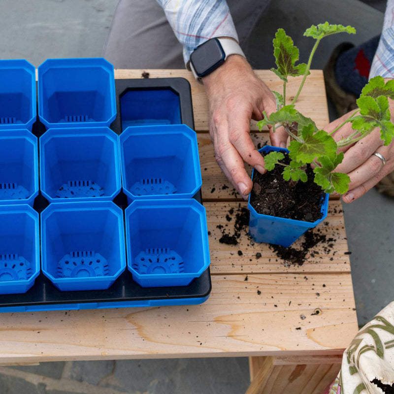 Load image into Gallery viewer, 3.3" Heavy Duty Seed Starting Pots
