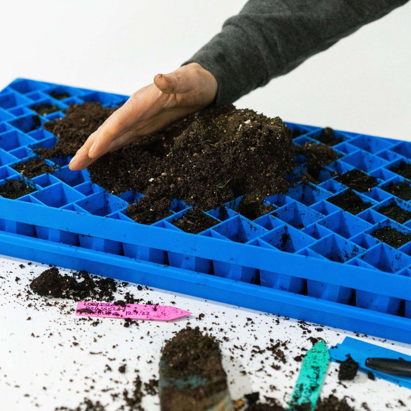 Load image into Gallery viewer, Air Prune Heavy Duty Propagation Tray - 72 Cell
