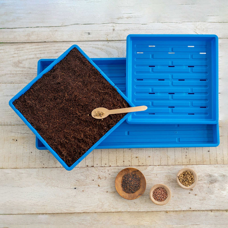 Load image into Gallery viewer, 1010 Microgreens Kit
