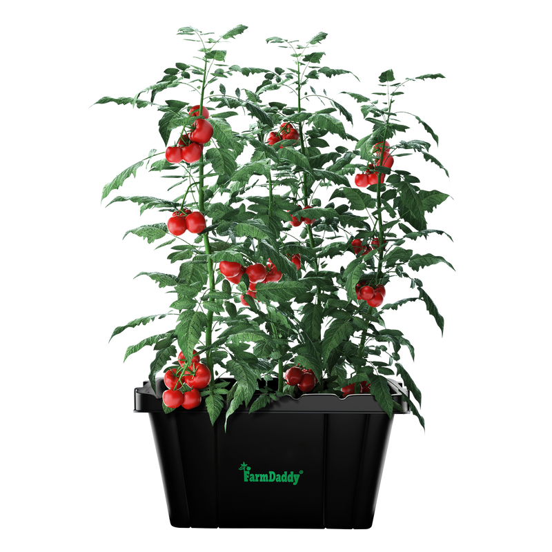 Load image into Gallery viewer, Product image of FarmDaddy® Self Watering Garden Box &amp; GrowBox Planter System, front view
