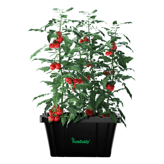 Product image of FarmDaddy® Self Watering Garden Box & GrowBox Planter System, front view