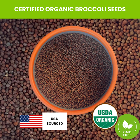 Organic Broccoli Seeds, additional product view 2