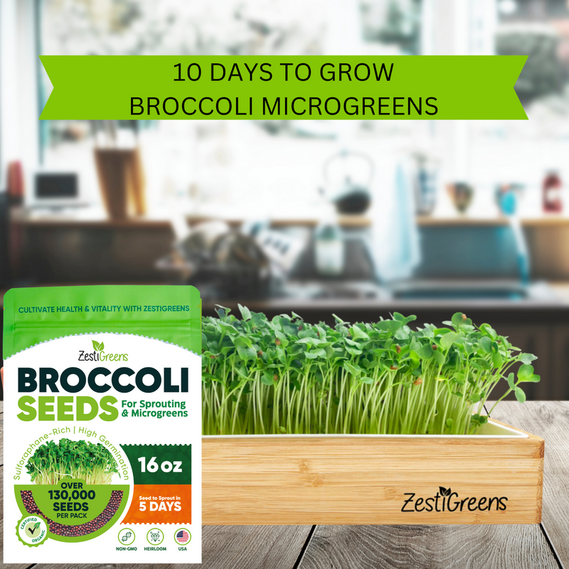 Load image into Gallery viewer, Organic Broccoli Seeds
