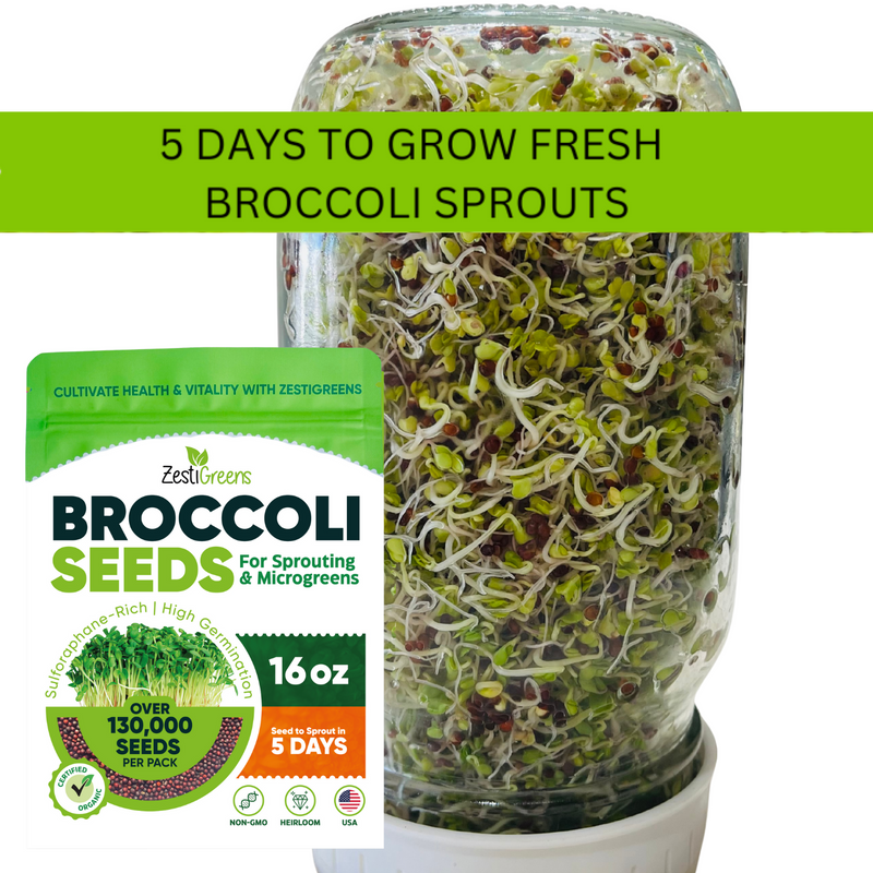 Load image into Gallery viewer, Organic Broccoli Seeds
