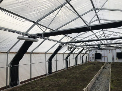 High Diffusion 6 mil Open UV Greenhouse Plastic, additional product view 2