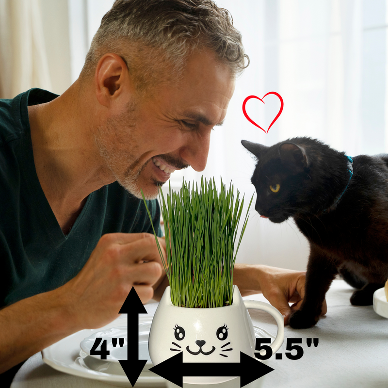 Load image into Gallery viewer, Cat Grass Mug Growing Kit
