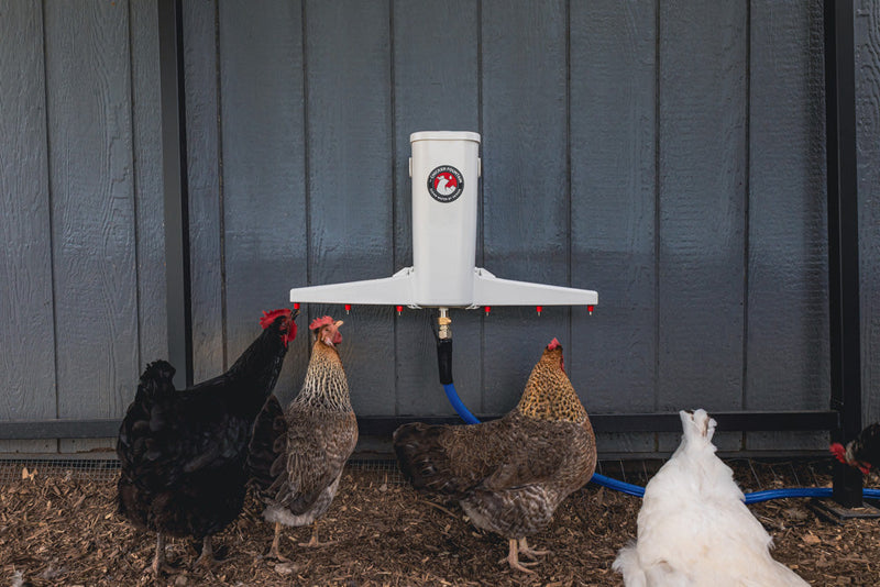 Load image into Gallery viewer, The Chicken Fountain wall-mounted automatic poultry waterer with drinking arms.
