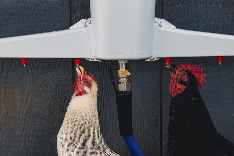 Load image into Gallery viewer, The Chicken Fountain®
