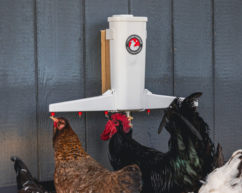 Load image into Gallery viewer, The Chicken Fountain®
