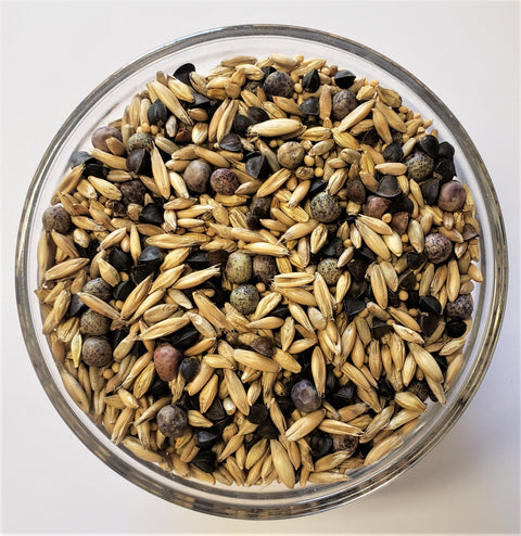 Elite Cover Crop Seed Mix — The Soil Makers cover crop seed.