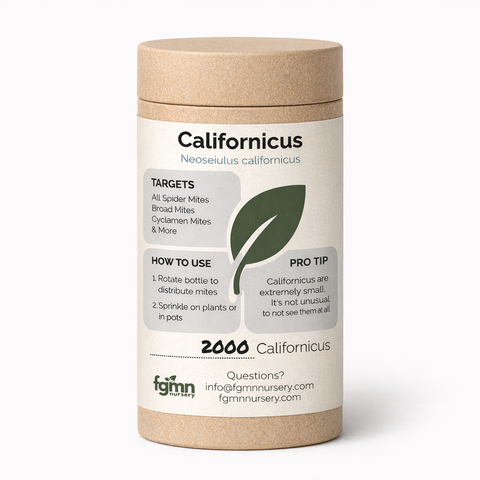 Neoseiulus californicus predatory mites for hot, dry conditions.