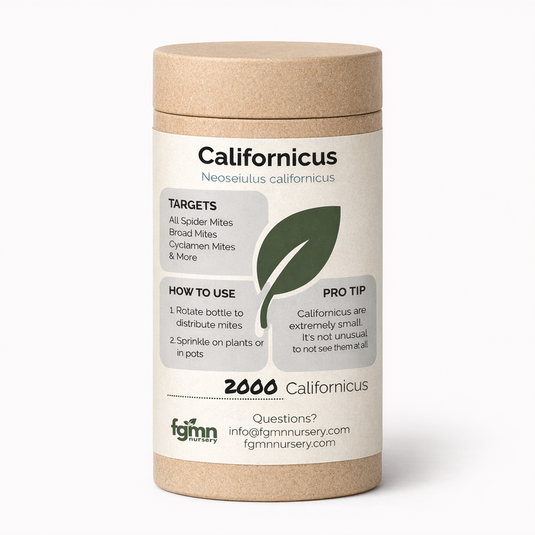 Neoseiulus californicus predatory mites for hot, dry conditions.