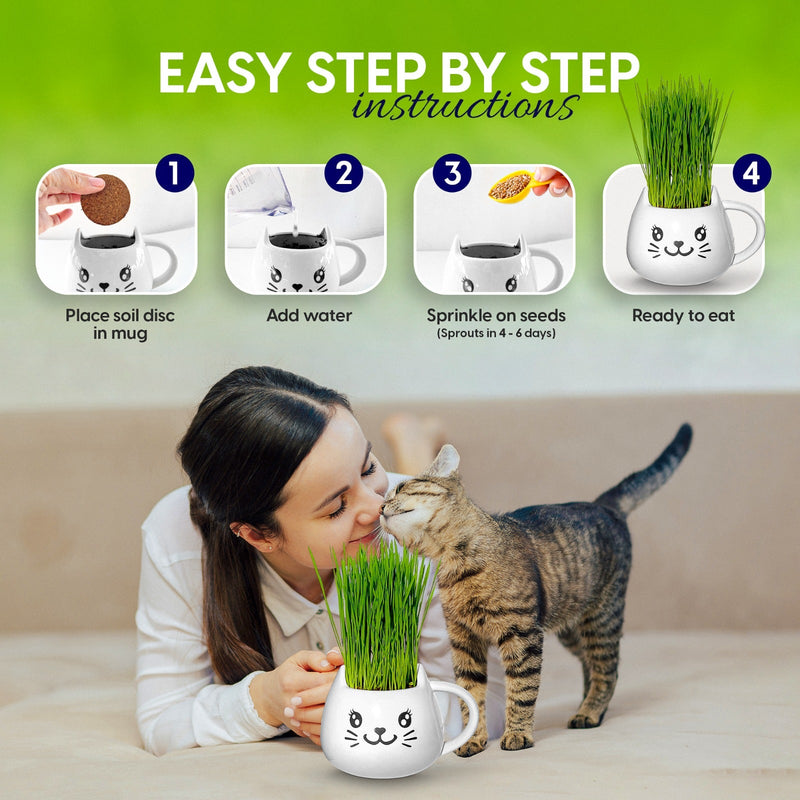 Load image into Gallery viewer, Cat Grass Mug Growing Kit
