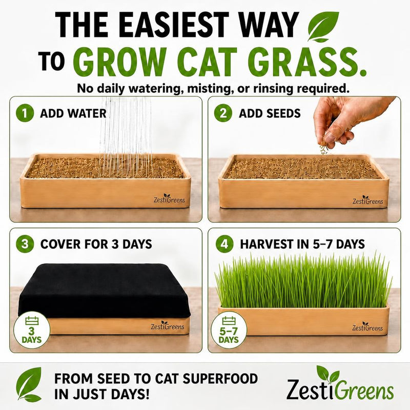 Load image into Gallery viewer, Self Watering Cat Grass Kit. The Easiest Way to Grow Cat Grass.
