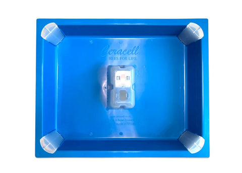 Ceracell 10-frame top feeder insert, blue plastic with corner caps.