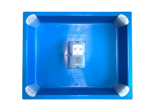 Ceracell 10-frame top feeder insert, blue plastic with corner caps.