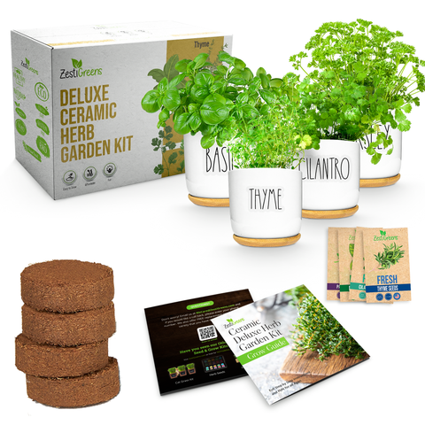 Deluxe ceramic herb garden kit for growing herbs on a countertop.
