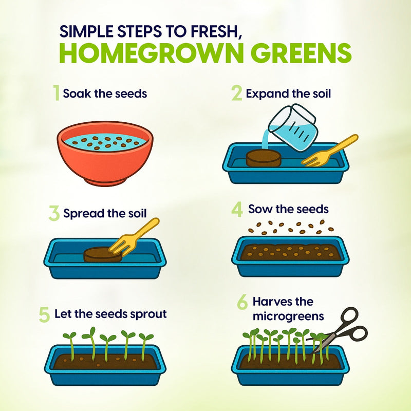 Load image into Gallery viewer, Ceramic Microgreens Growing Kit to Grow 3 Crops Including Organic USDA Sunflower, Melon &amp; Mixed Microgreens Seeds.
