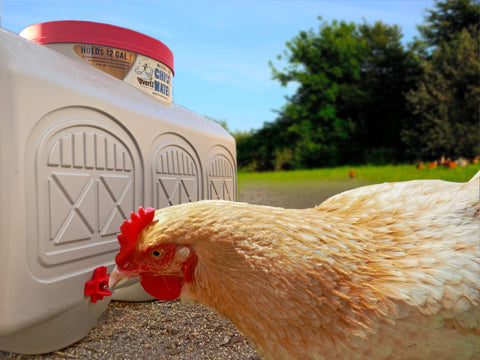 Classic Waterer, additional product view 2