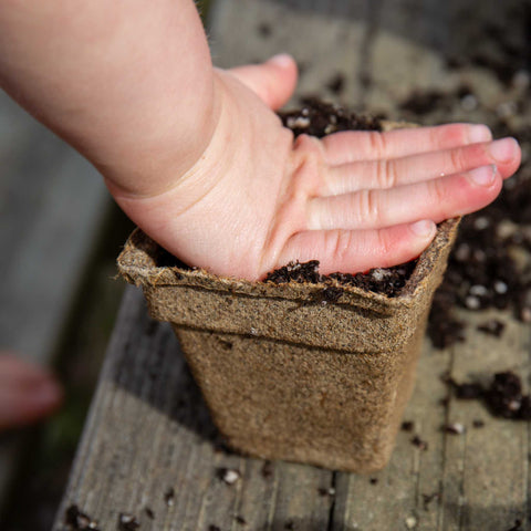 CowPots® Starter Kit, additional product view 2