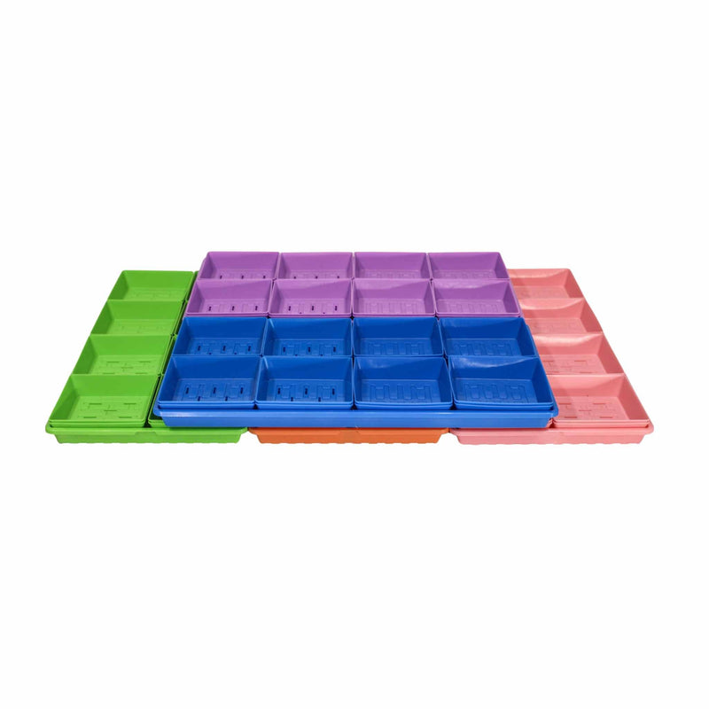 Load image into Gallery viewer, Classroom Microgreens Bundle
