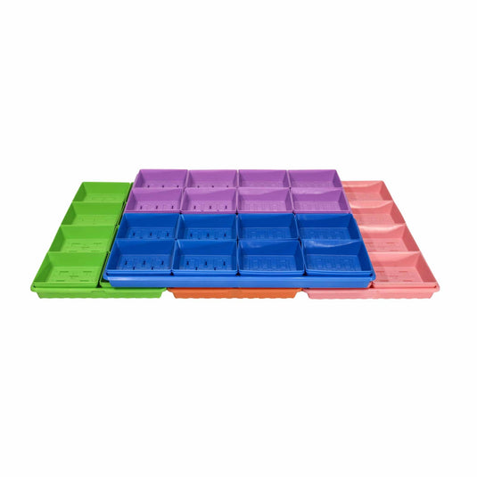 Classroom Microgreens Bundle