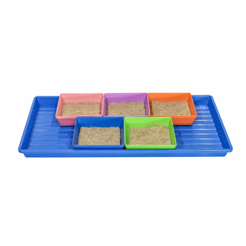 Classroom Microgreens Bundle, additional product view 2