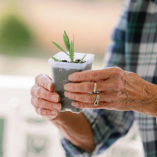 Propagation Kit | For Cuttings, Seedlings and More