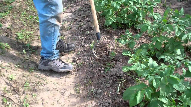 Load image into Gallery viewer, CobraHead Long Handle Weeder &amp; Cultivator Garden Tool
