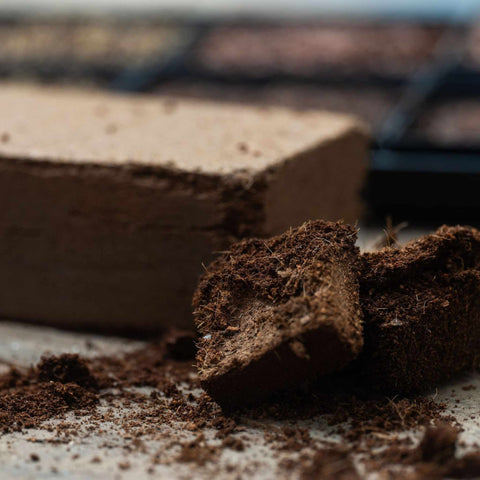 Coco Coir Brick, additional product view 2