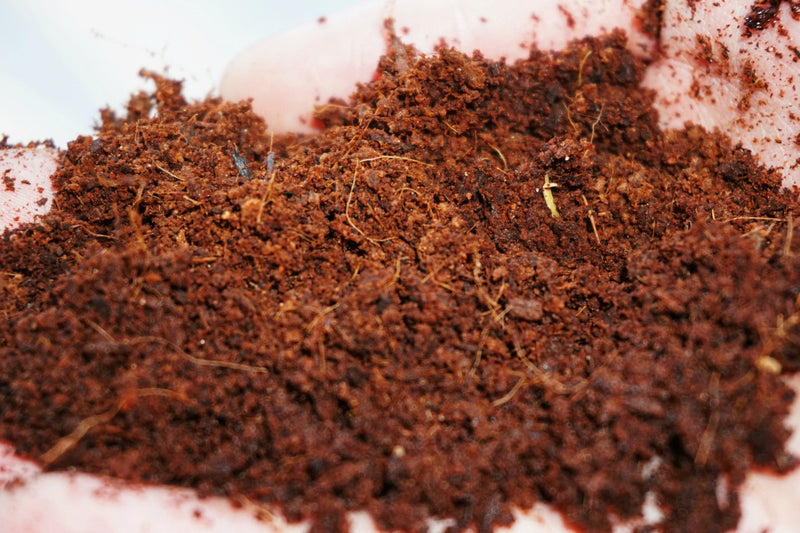 Load image into Gallery viewer, Coco Coir Brick (OMRI Approved for Organic Use)
