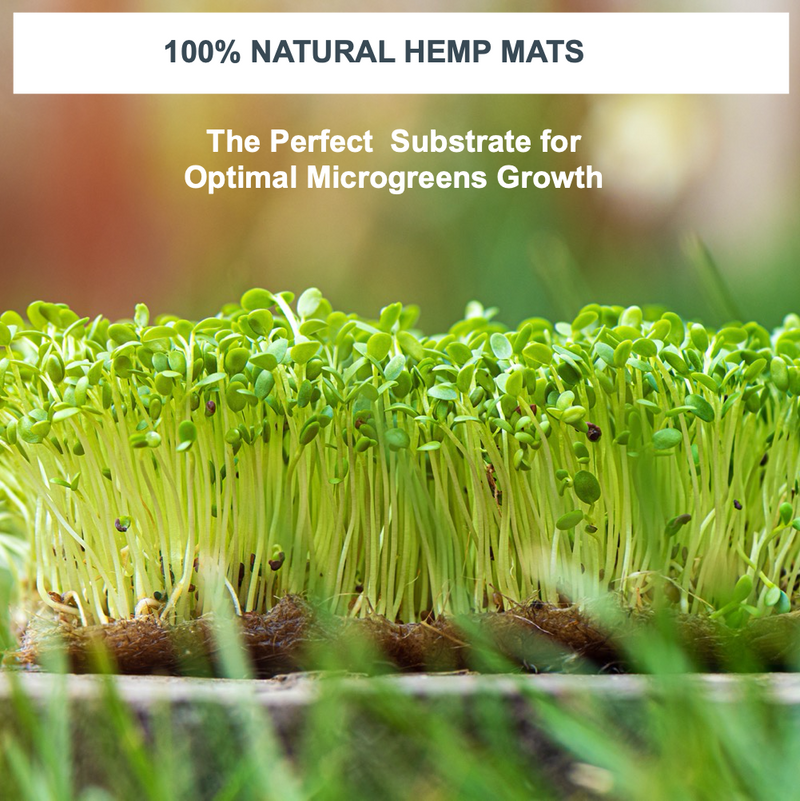 Load image into Gallery viewer, Hemp Mats
