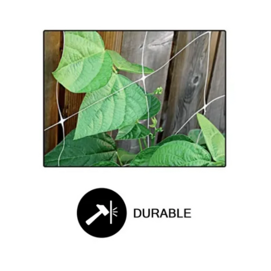 Common Culture Bio Trellis Netting Bulk Roll 5 ft x 3,280 ft w/ 4 in Squares