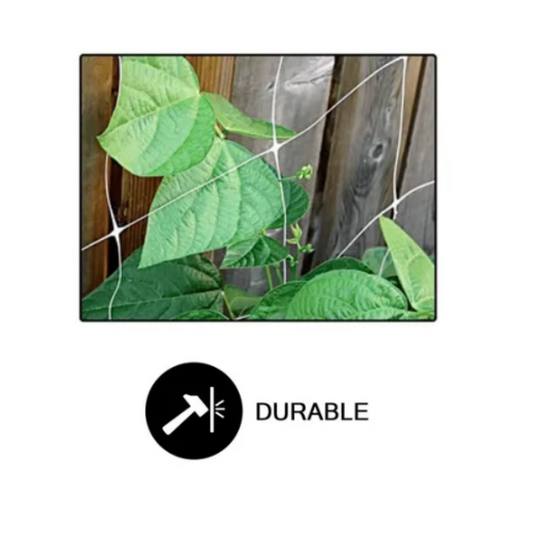 Common Culture Bio Trellis Netting Bulk Roll 5 ft x 15 ft w/ 6in Squares