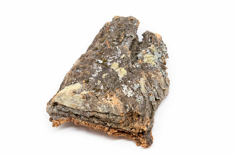 Cork Bark Displays with Waterproof Glue