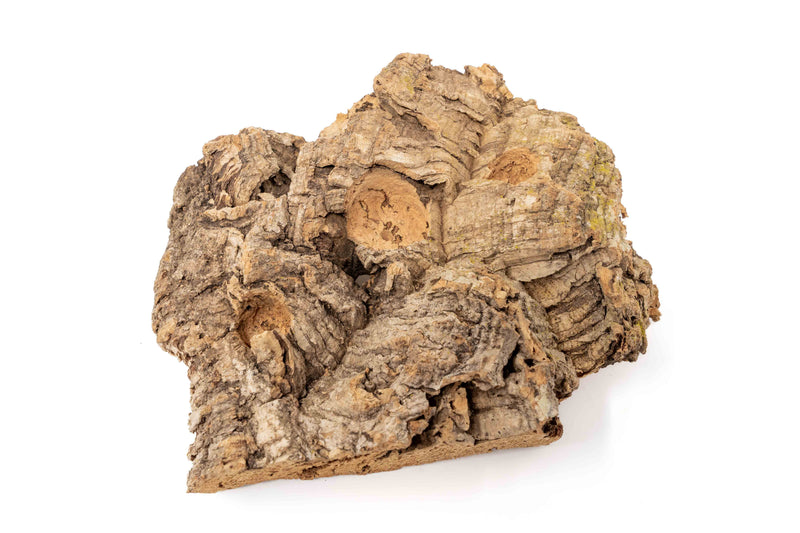 Load image into Gallery viewer, Medium Tabletop Cork Bark Display with 3 Tillandsia Air Plants
