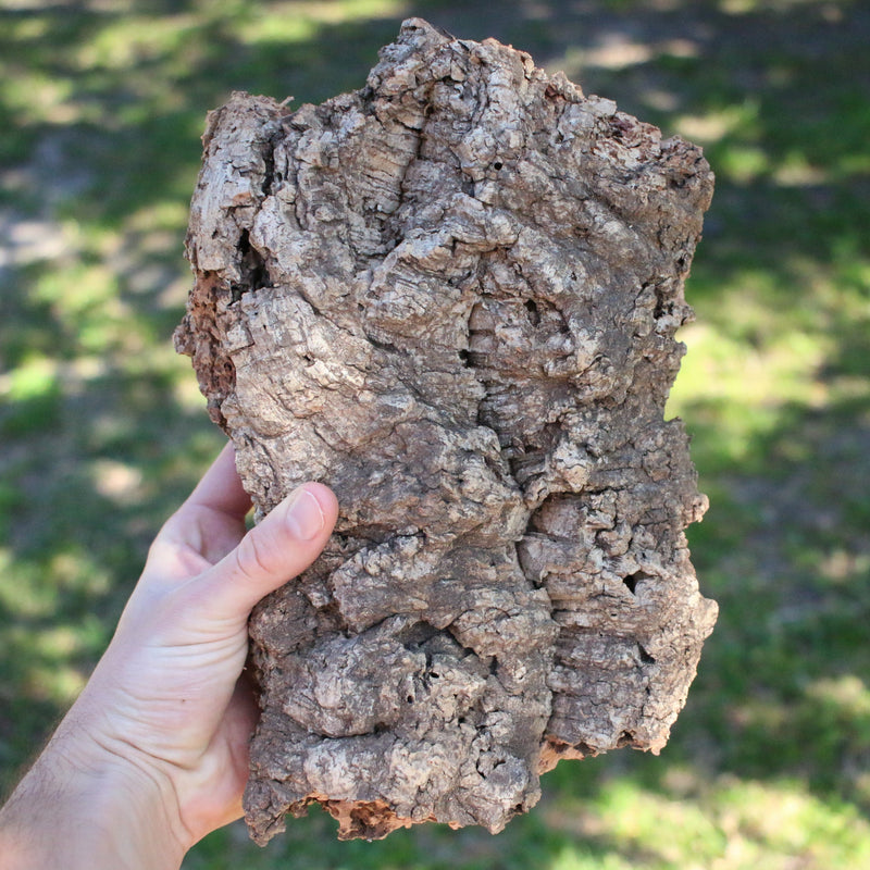 Load image into Gallery viewer, Natural Cork Bark Displays &amp; Waterproof Glue - Create a Unique Vertical Garden Display!
