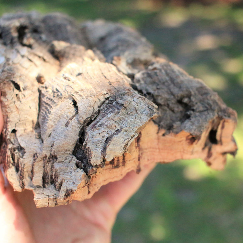 Load image into Gallery viewer, Natural Cork Bark Displays &amp; Waterproof Glue - Create a Unique Vertical Garden Display!
