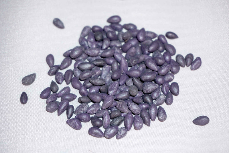 Load image into Gallery viewer, Pure White Cotton Seed
