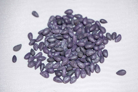 Pure White Cotton Seed, additional product view 2