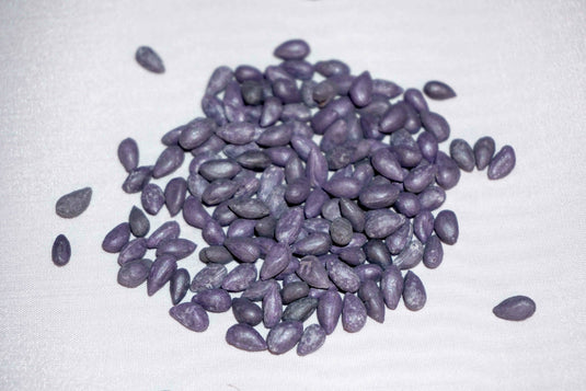 Pure White Cotton Seed