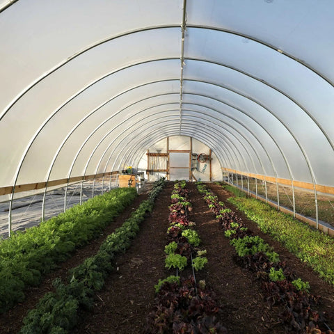 DIY Greenhouse Kit - 10 ft Wide Hoop House from Bootstrap Farmer at GrowTime Garden Supply
