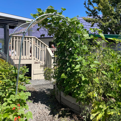 DIY Garden Arch from Bootstrap Farmer at GrowTime Garden Supply